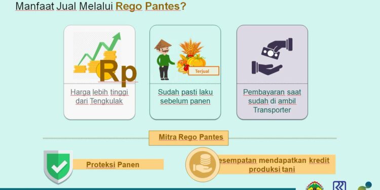 Aplikasi RegoPantes Hubungkan Petani Langsung Ke Konsumen