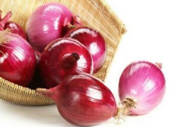 Bawang Merah Bisa Diolah Jadi Parfum