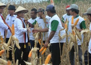BNI Dukung Program Mewirausahakan Petani