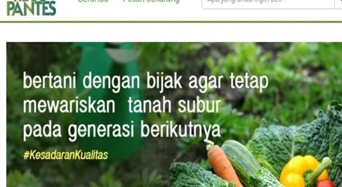 RegoPantes, E-commerce Pertanian Untuk Warga Jabodetabek