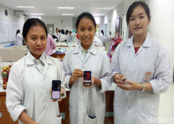 Inovasi Kosmetik Antioksidan dari Buah Jamblang