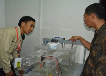 INTIP, Pembangkit Listrik Tenaga Gelombang Laut