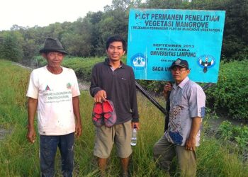 Unila & Universitas Saga Jepang Berkolaborasi Menjaga Ekosistem Mangrove