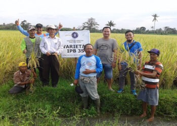 DBS Foundation Beri Dana Hibah Bagi 14 Wirausaha Sosial di Asia