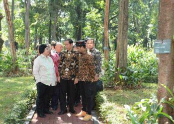 KLHK Gandeng Musisi Jaga Hutan Indonesia
