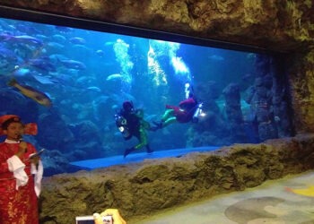 Rayakan Imlek, Ancol Bagikan 2.569 Angpau