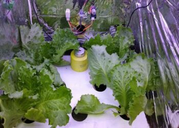 Autogrow, Alat Pengatur Iklim dari ITB