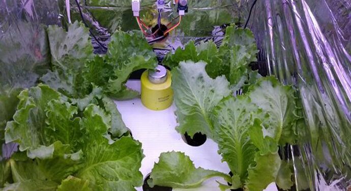 Autogrow, Alat Pengatur Iklim dari ITB