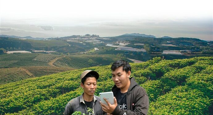 Muhammad Nanda Putra : Memilih Mengembangkan Usaha yang Bisa Bantu Petani Jadi Sejahtera