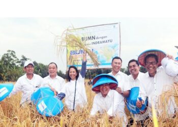 Sinergi BUMN Bangun Korporasi dan Digitalisasi Petani Jawa Barat