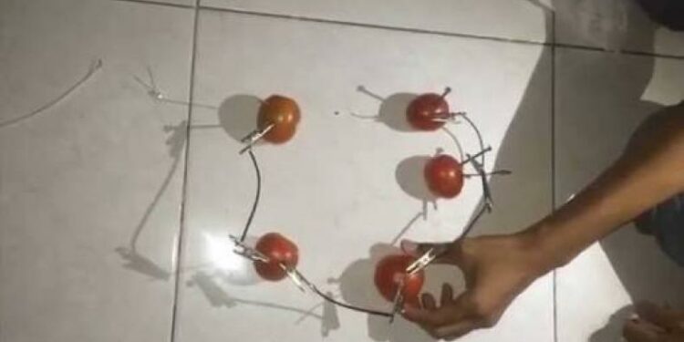 Baterai Gel Dari Tomat Pengganti Zat Kimia