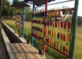 Vertical Garden Solusi Taman di Lahan Sempit