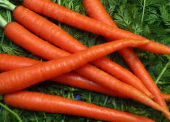 GODECT, Minyak Kaya Vitamin A dari Limbah Wortel