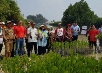 Traveloka Apresiasi Film Impian 1.000 Pulau Dengan #1ticket1mangrove