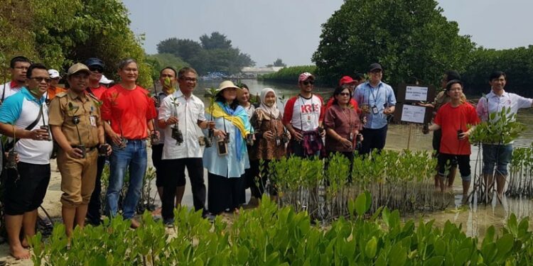 Traveloka Apresiasi Film Impian 1.000 Pulau Dengan #1ticket1mangrove