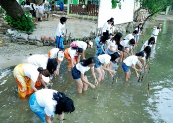 Ajak Milenial Lestarikan Alam, CIRI Centennial Tanam 500 Pohon Manggrove
