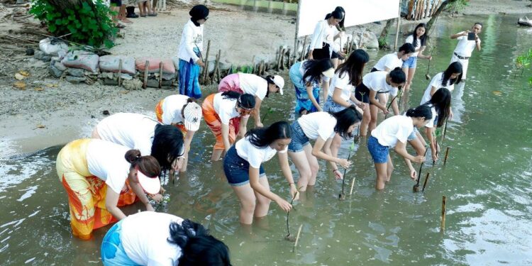 Ajak Milenial Lestarikan Alam,  CIRI Centennial Tanam 500 Pohon Manggrove