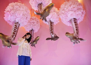 HALUU, Wisata Selfie Penuh Kejutan