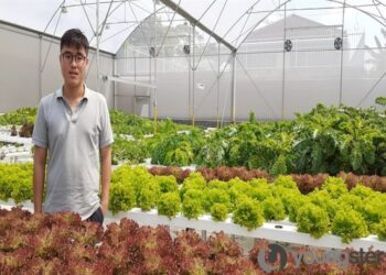 Reyhan Hadisaputra : Pindah Kuadran Jadi Petani Hidroponik