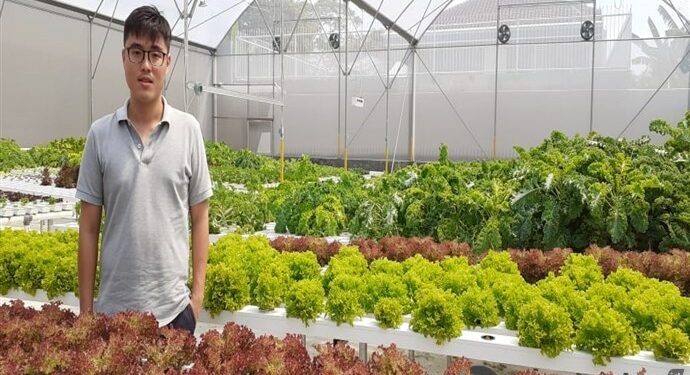 Reyhan Hadisaputra : Pindah Kuadran Jadi Petani Hidroponik