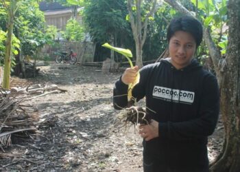 Zulfikri Al Qowy : Angkat Ekonomi Petani Dengan Bisnis Cookies Talas