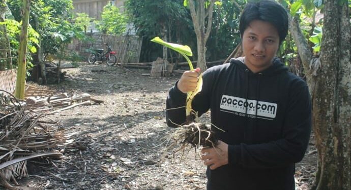 Zulfikri Al Qowy : Angkat Ekonomi Petani Dengan Bisnis Cookies Talas