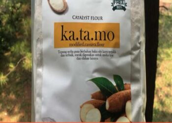 Mocaf Tepung Terigu Yang Aman Bagi Penderita Diabetes