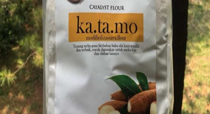 Mocaf Tepung Terigu Yang Aman Bagi Penderita Diabetes