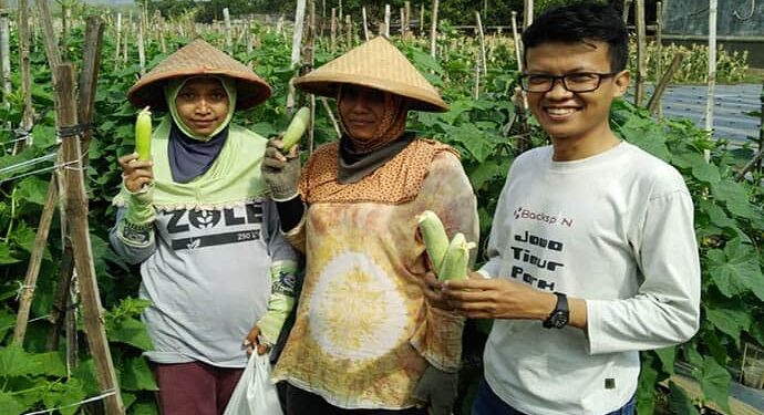 Tanipanen.id Aplikasi Marketplace Untuk Hasil Panen Rusak dan Berlebih