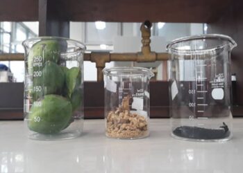 Limbah Ketapang Ubah Limbah Plastik LDPE Menjadi Bahan Bakat