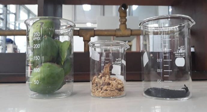 Limbah Ketapang Ubah Limbah Plastik LDPE Menjadi Bahan Bakat