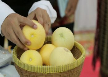 UGM Luncurkan Baby Melon