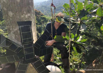 Huawei X Rainforest Connection Untuk Lindungi Hutan Sumatera