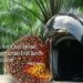 Helm dari Limbah Tandan Kelapa Sawit