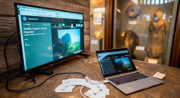 Platform Wildlife Insights, Manfaatkan Teknologi AI Untuk Konservasi Alam