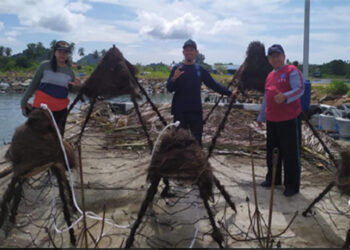 IPB dan UTU Kembangkan Rumpon Biodegradable Untuk Nelayan Aceh