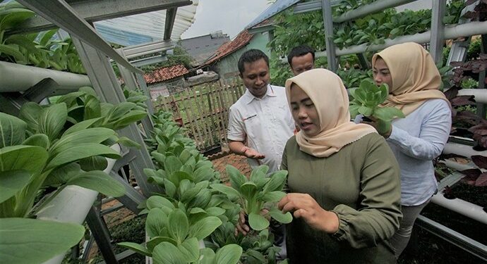 Kebun Hidroponik Jadi Pemberdayaan Ekonomi di Kawasan Industri