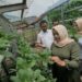 Kebun Hidroponik Jadi Pemberdayaan Ekonomi di Kawasan Industri