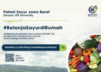 2.500 Petani Dapat Akses Jual Hasil Panen di Lazada