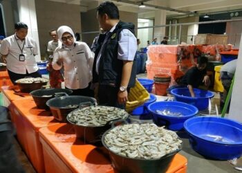 BUMN Gandeng Blanja.com Jual Ikan Segar Secara Daring