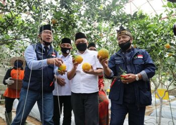 Dorong Pengembangan Koperasi Untuk Antisipasi Krisis Pangan