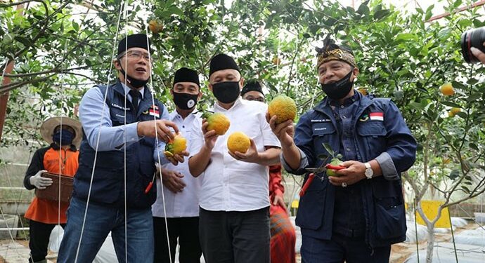 Dorong Pengembangan Koperasi Untuk Antisipasi Krisis Pangan