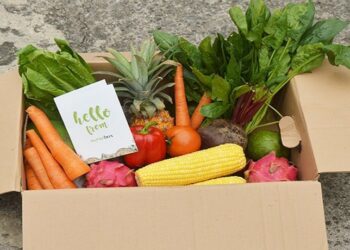 Sayurbox Hadir di Shoppe Untuk Penuhi Kebutuhan Harian Masyarakat