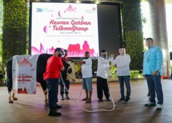 Peringatan Idul Adha 1441 H TelkomGroup Salurkan Lebih dari 1.000 Hewan Kurban di Seluruh Indonesia