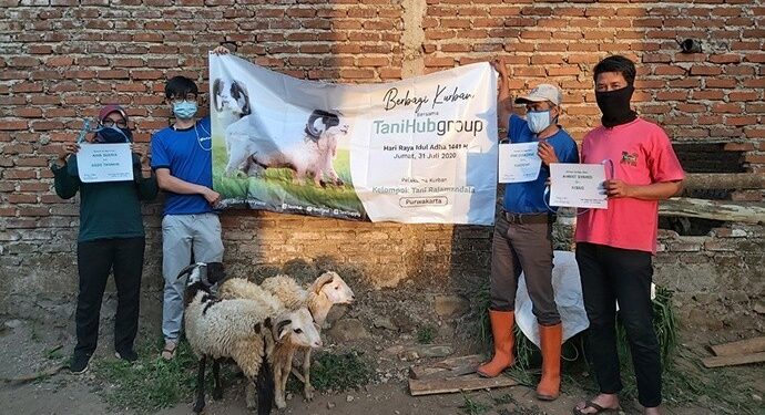 TaniHub Group Salurkan Hewan Kurban Untuk Petani