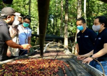 Telkom Wujudkan Digitalisasi UMKM Hingga Pelosok