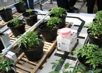 Robot Ini Permudah Petani Saat Menyiram Tanaman