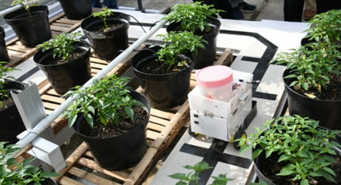 Robot Ini Permudah Petani Saat Menyiram Tanaman