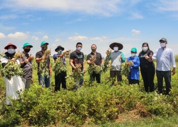 TaniHub Gandeng Garudafood Berdayakan Petani Kacang Tanah