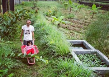Urban Farming Bisa Menjadi Solusi Pertanian yang Berkelanjutan